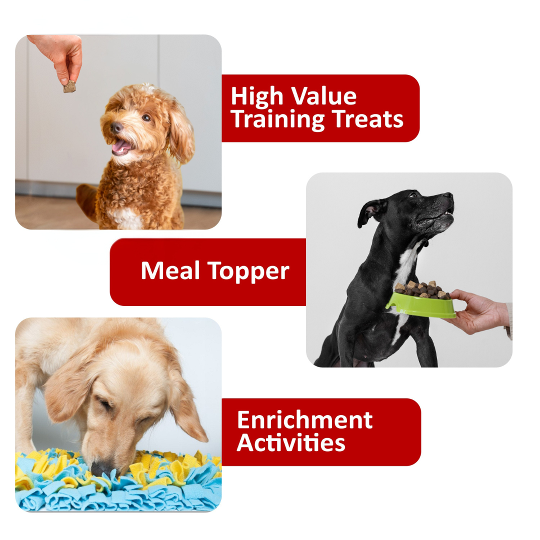 Freeze Dried Raw Beef Liver Treats