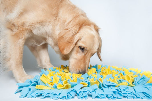 What is a snuffle mat and why every dog needs one