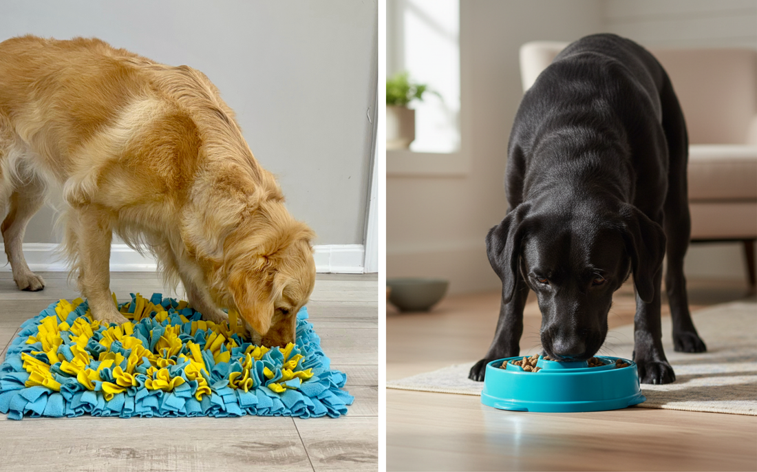 Snuffle Mat vs Slow Feeder Bowl: Which Is Right for Your Dog?