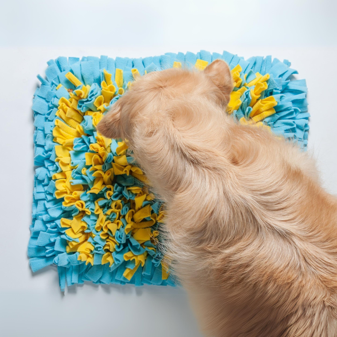 Large Snuffle Mat by Golden Pup Enrichment