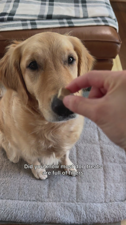 Freeze Dried Raw Beef Liver Treats