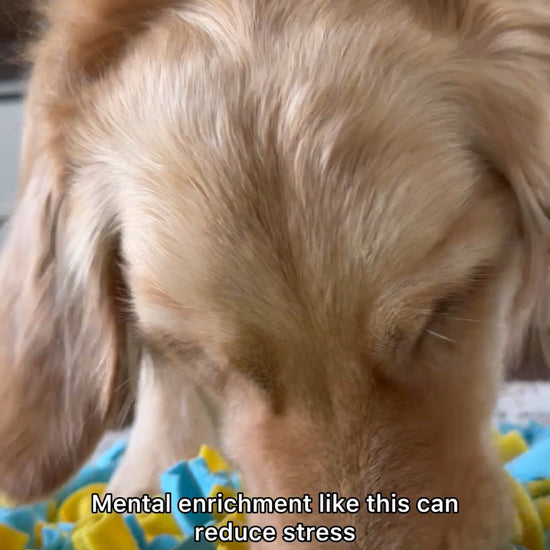 snuffle mat for large dogs, dog enrichment