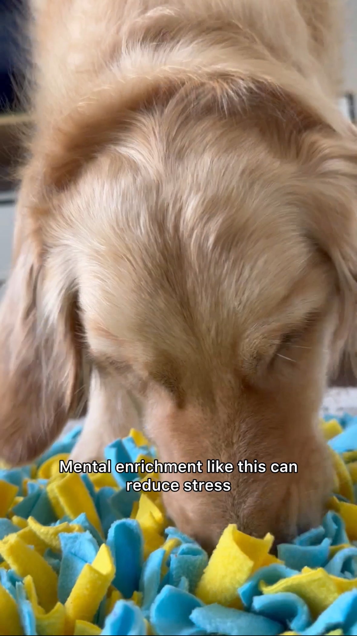 snuffle mat for large dogs, dog enrichment